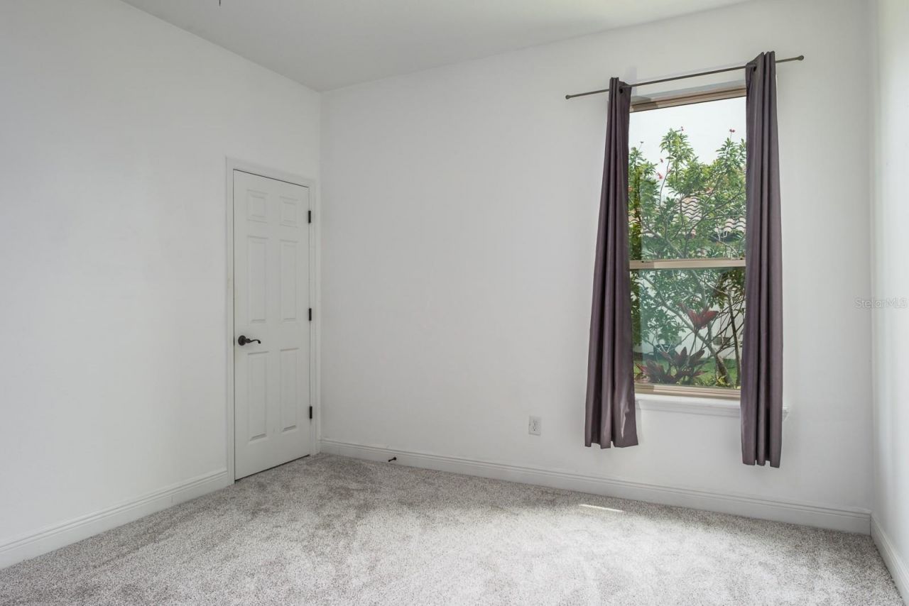 165 Mobbly Bay Drive, Oldsmar, FL 34677 Photo