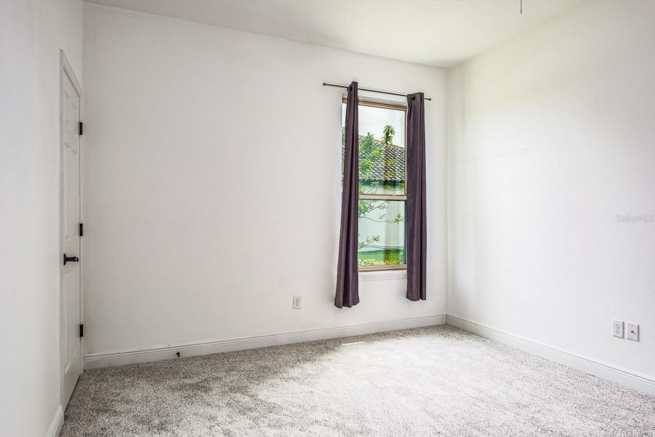 165 Mobbly Bay Drive, Oldsmar, FL 34677 Photo