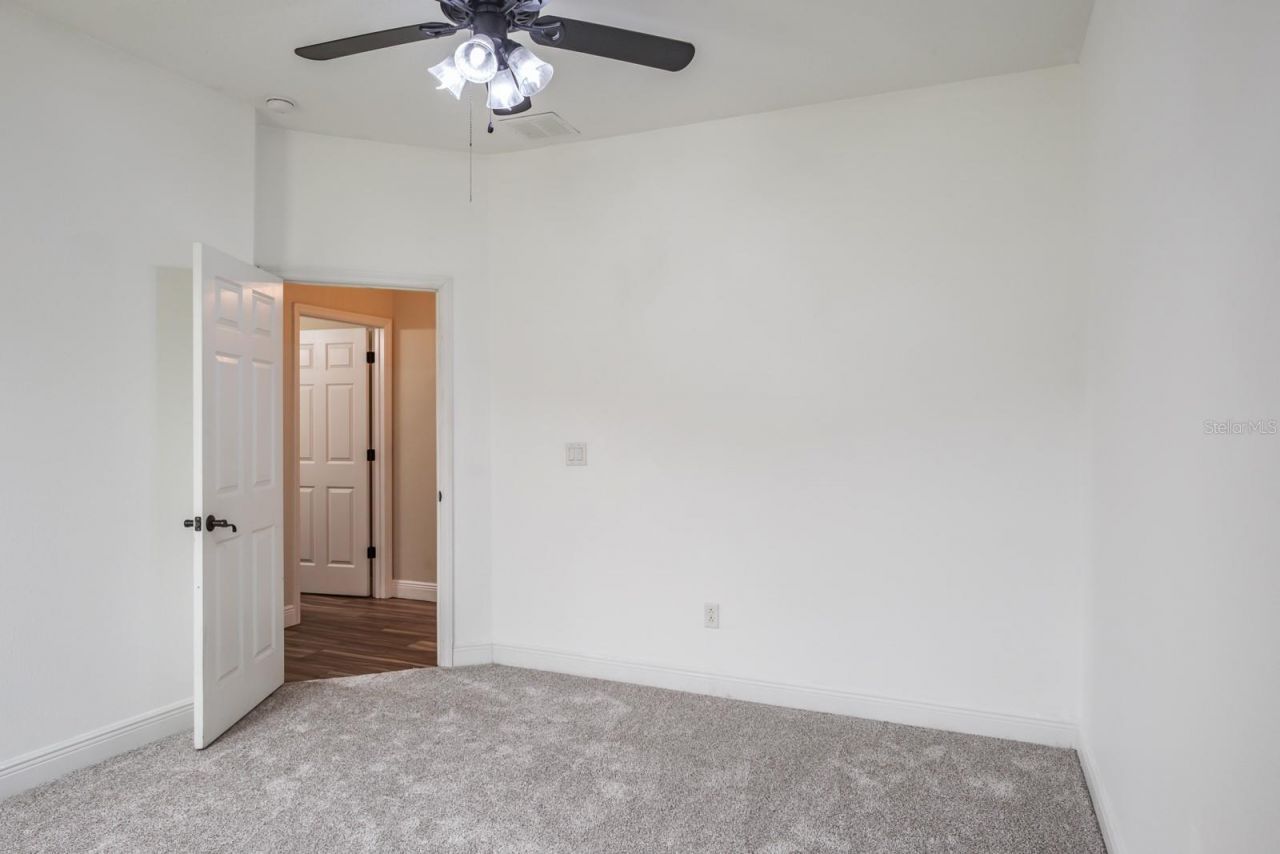 165 Mobbly Bay Drive, Oldsmar, FL 34677 Photo