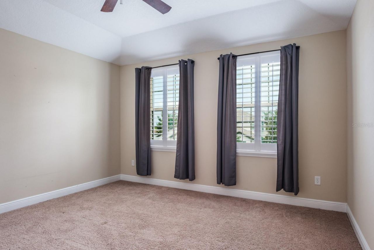 165 Mobbly Bay Drive, Oldsmar, FL 34677 Photo