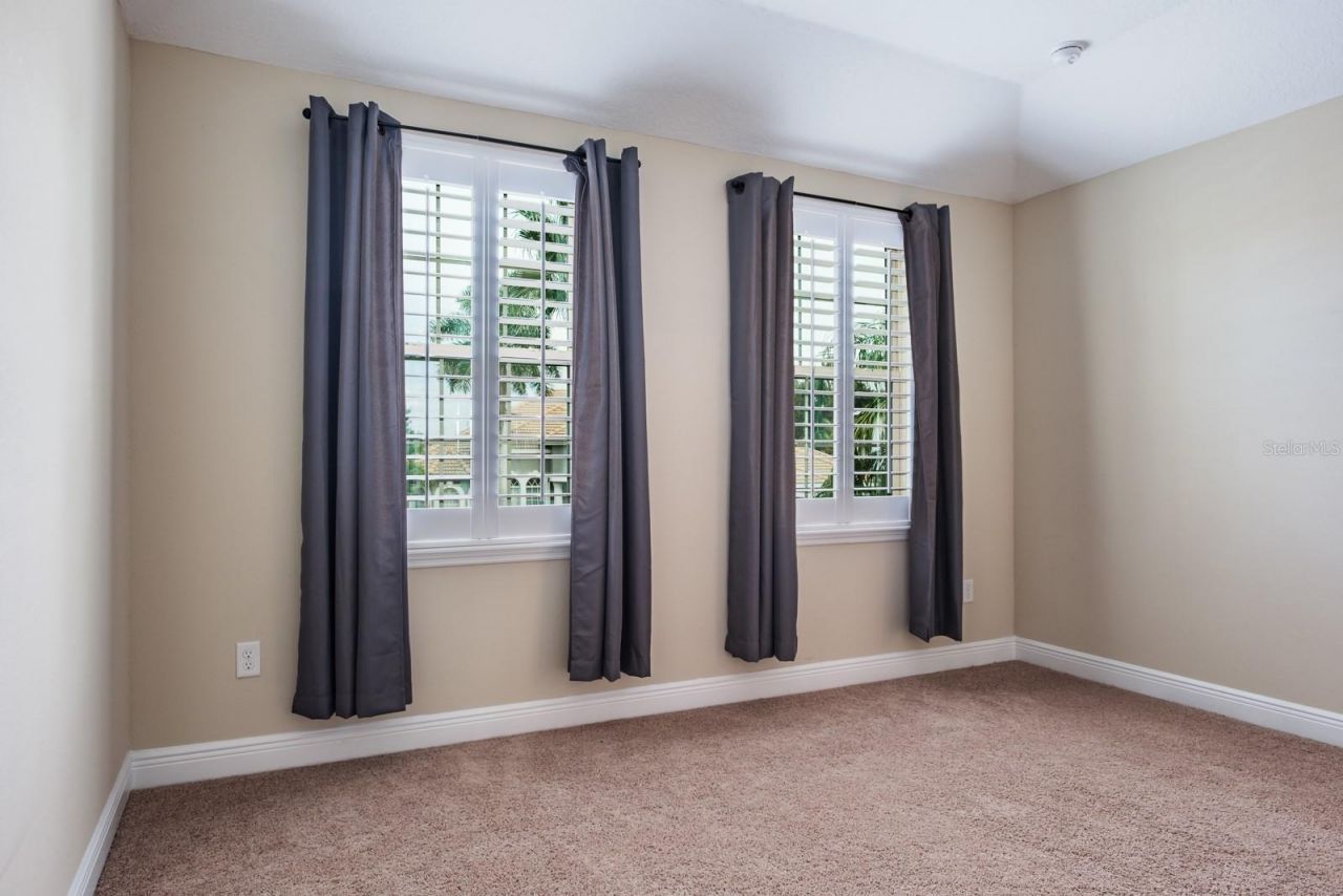 165 Mobbly Bay Drive, Oldsmar, FL 34677 Photo