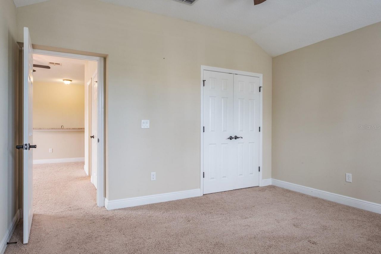 165 Mobbly Bay Drive, Oldsmar, FL 34677 Photo