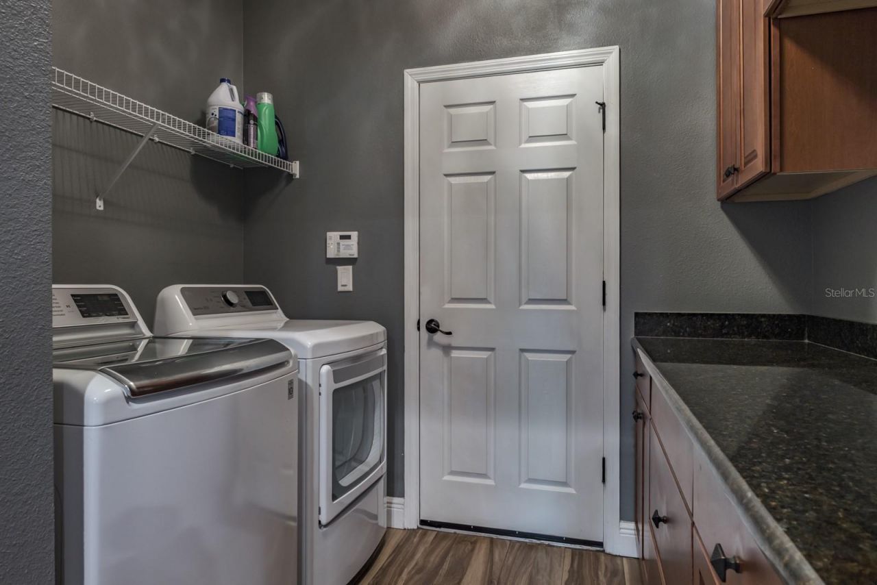 165 Mobbly Bay Drive, Oldsmar, FL 34677 Photo