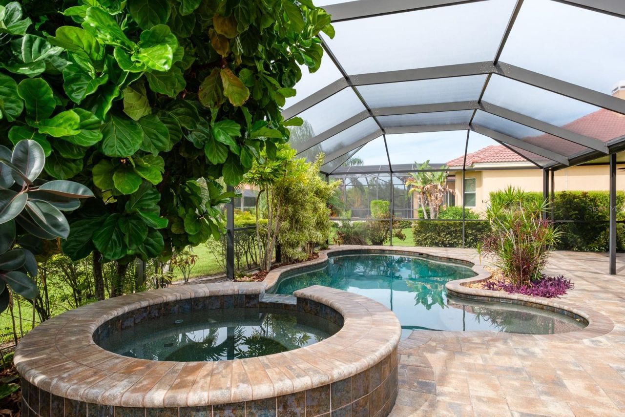 165 Mobbly Bay Drive, Oldsmar, FL 34677 Photo