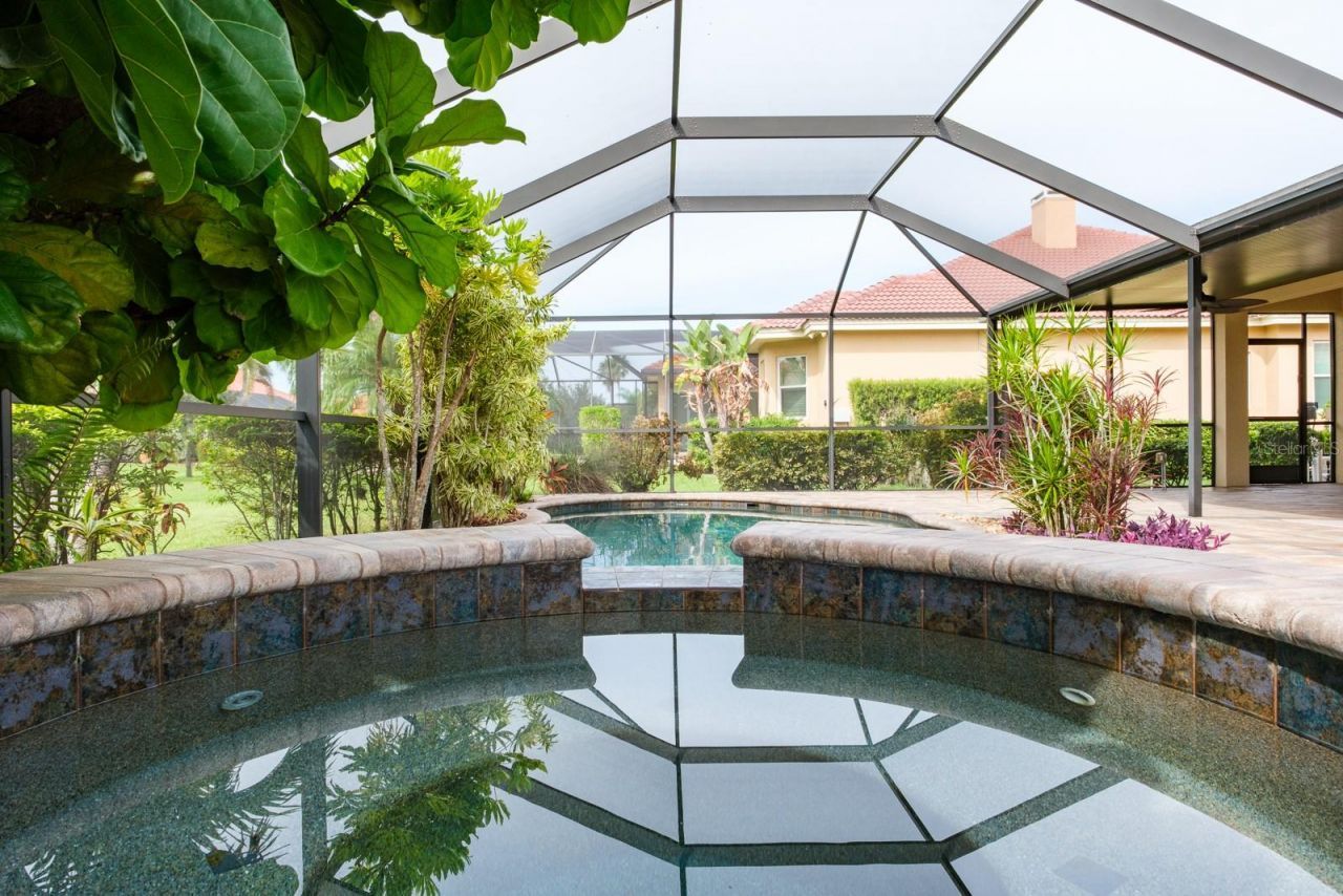 165 Mobbly Bay Drive, Oldsmar, FL 34677 Photo