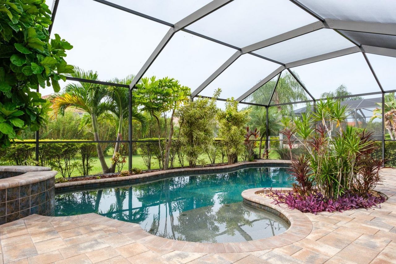 165 Mobbly Bay Drive, Oldsmar, FL 34677 Photo