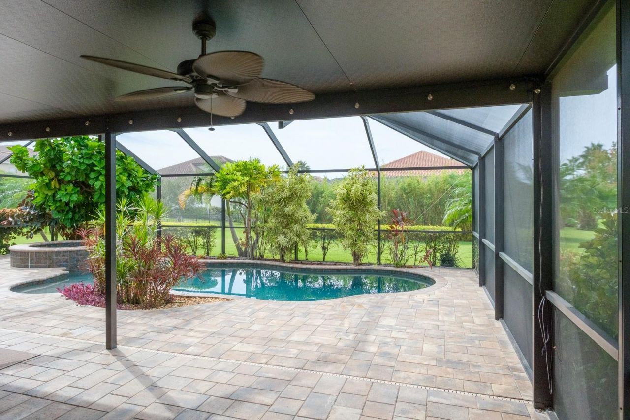 165 Mobbly Bay Drive, Oldsmar, FL 34677 Photo