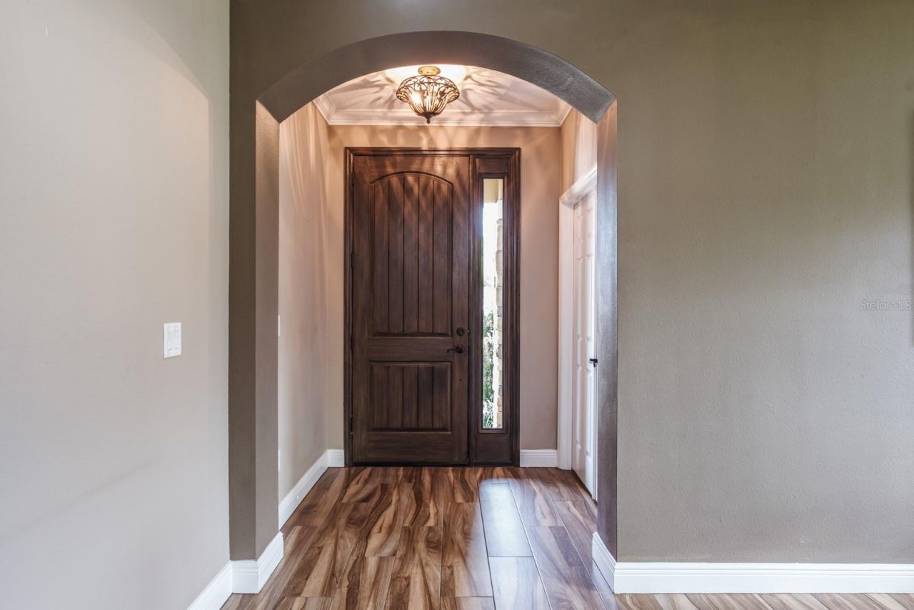 165 Mobbly Bay Drive, Oldsmar, FL 34677 Photo