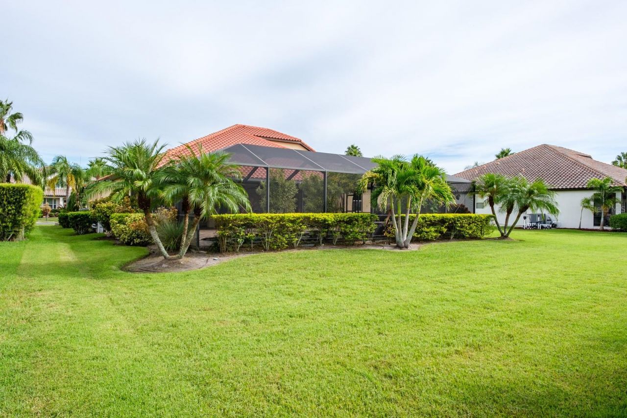 165 Mobbly Bay Drive, Oldsmar, FL 34677 Photo