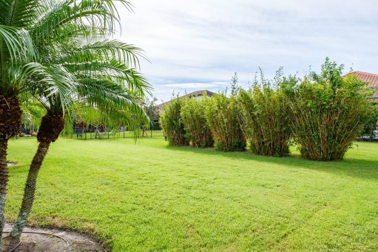 165 Mobbly Bay Drive, Oldsmar, FL 34677 Photo