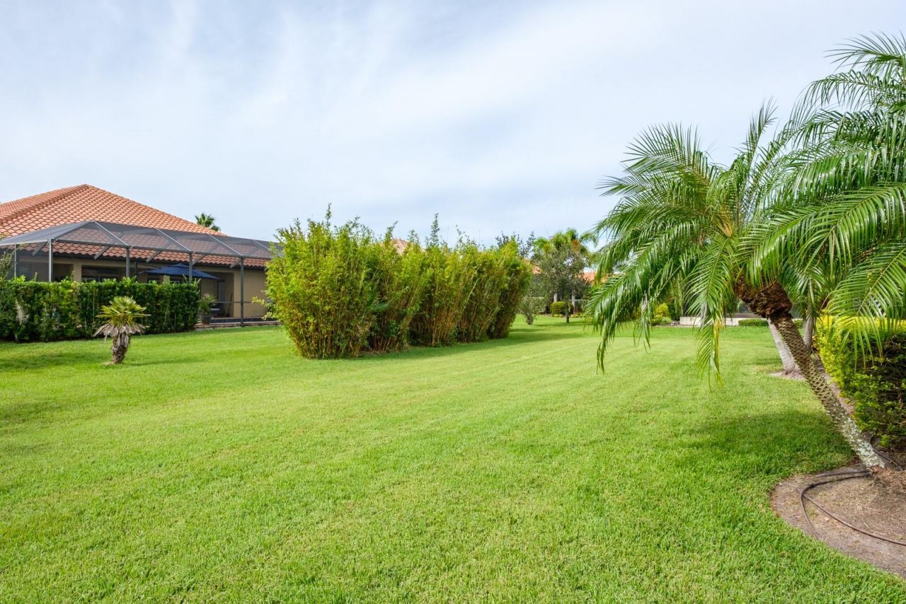 165 Mobbly Bay Drive, Oldsmar, FL 34677 Photo