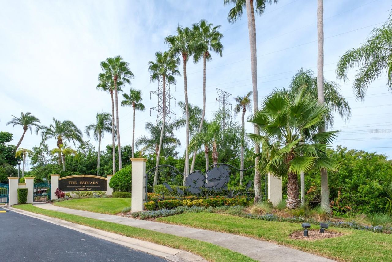 165 Mobbly Bay Drive, Oldsmar, FL 34677 Photo