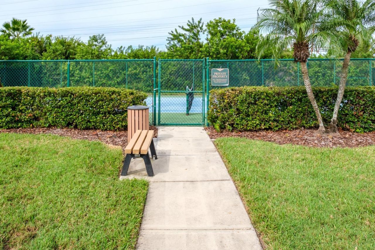 165 Mobbly Bay Drive, Oldsmar, FL 34677 Photo