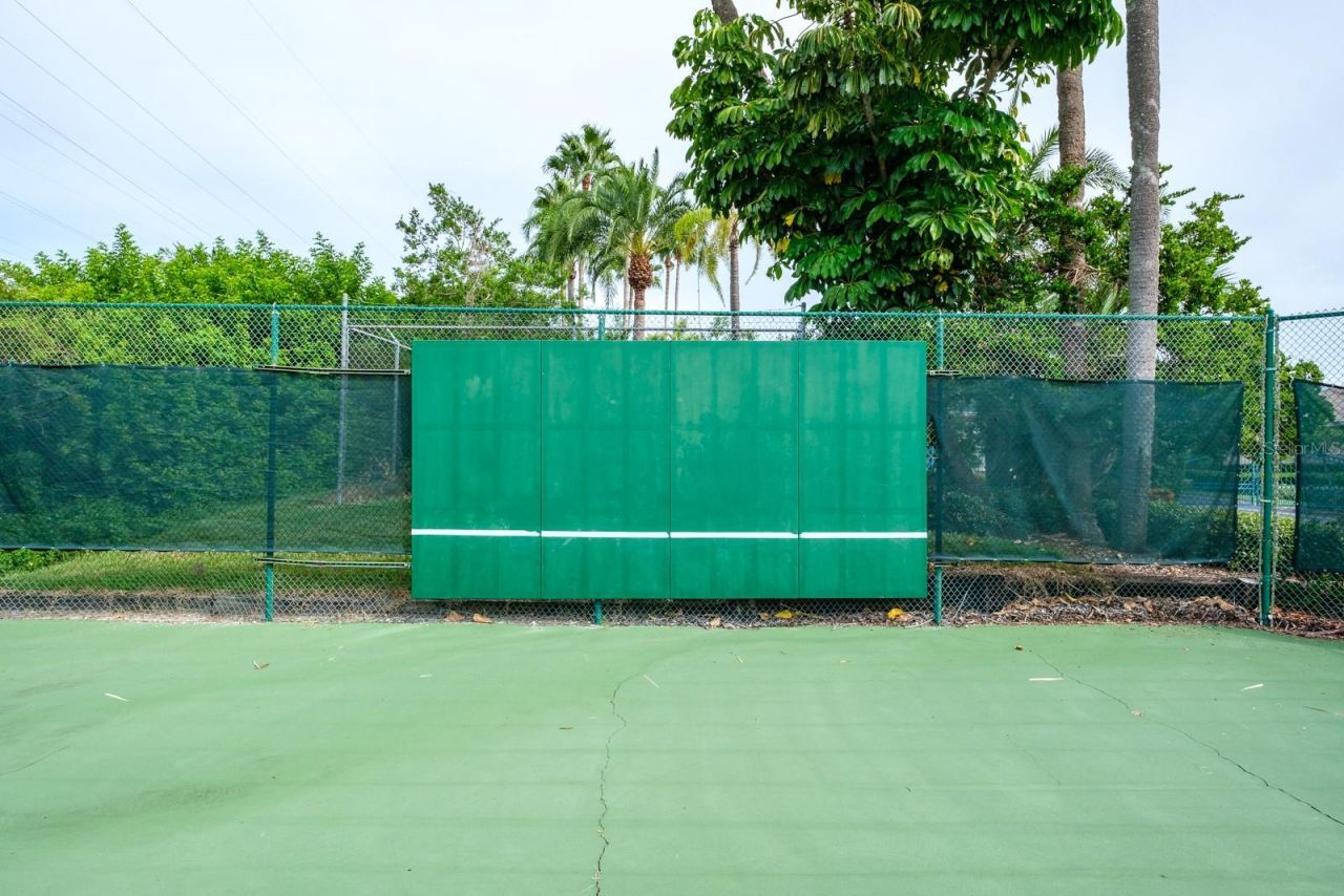 165 Mobbly Bay Drive, Oldsmar, FL 34677 Photo