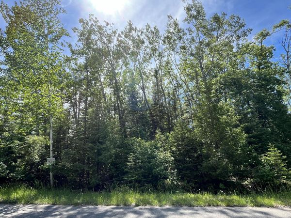 Lot 217 Shoreham Court, Presque Isle, MI 49777