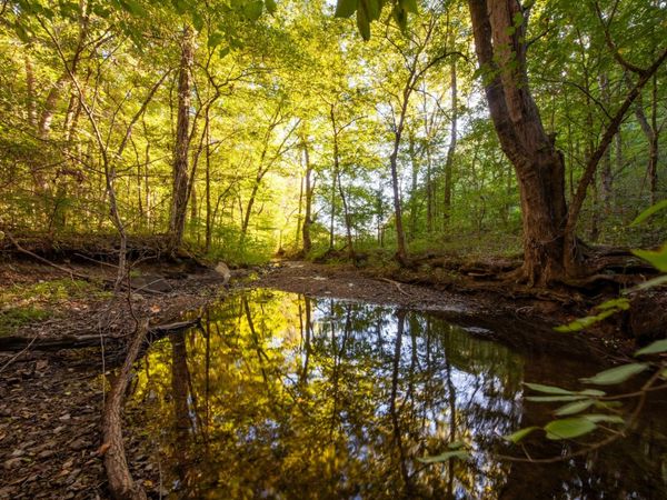 0 Sugar Ridge Rd, Spring Hill, TN 37174