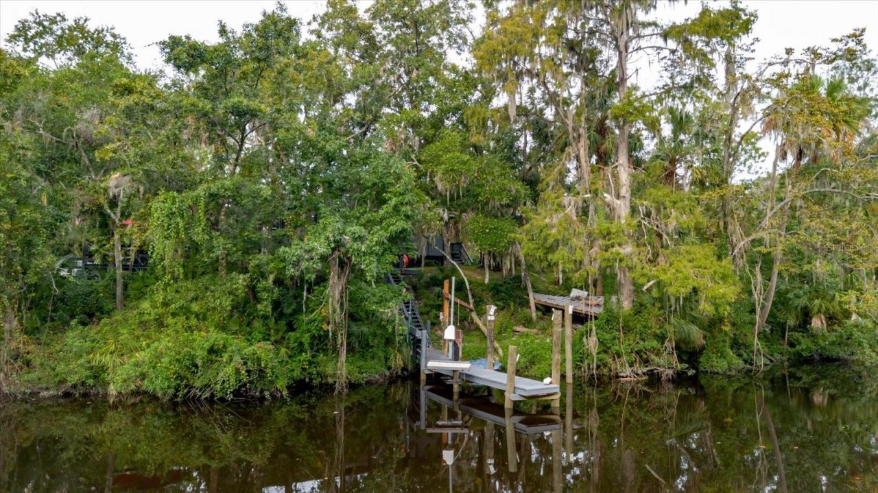 8304 Revels Road, Riverview, FL 33569 Photo