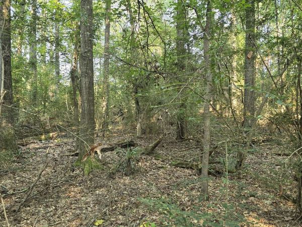 000 Alabama Street, Roxie, MS 39661