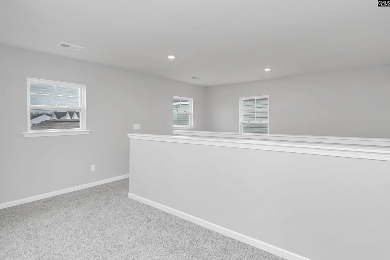 410 Viceroy Path Photo 29