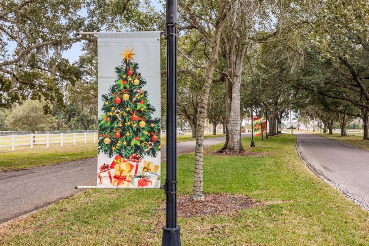 4047 N Citrus Circle, Unit 199, Zellwood, FL 32798 Photo