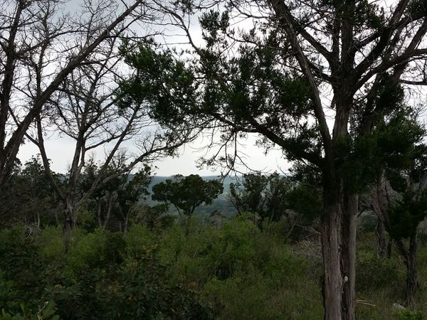 220 private road 1717, Mico, TX 78056