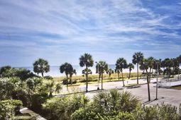 2310 Ocean Blvd. N photo 4