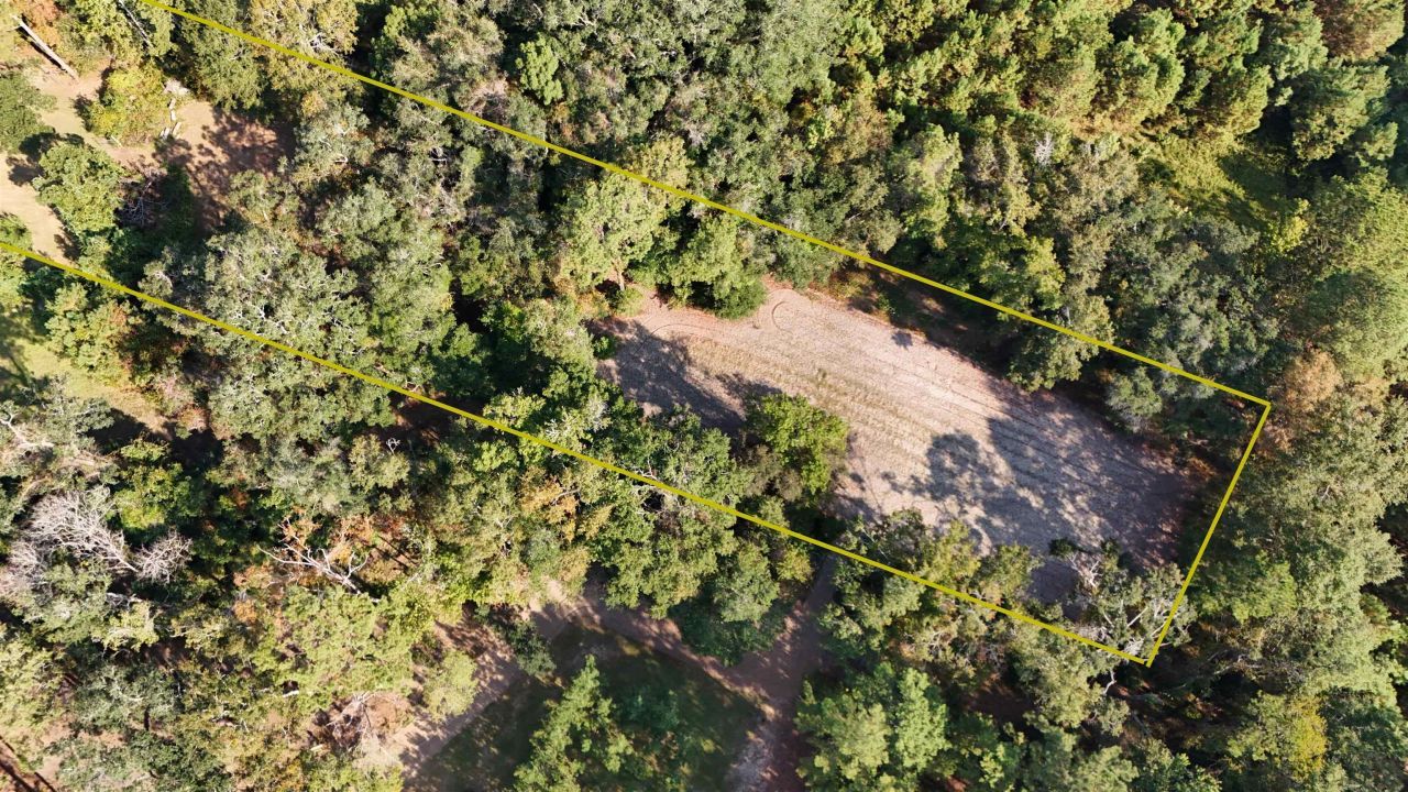 1309 Cook Rd., Lamont, FL 32336 Photo