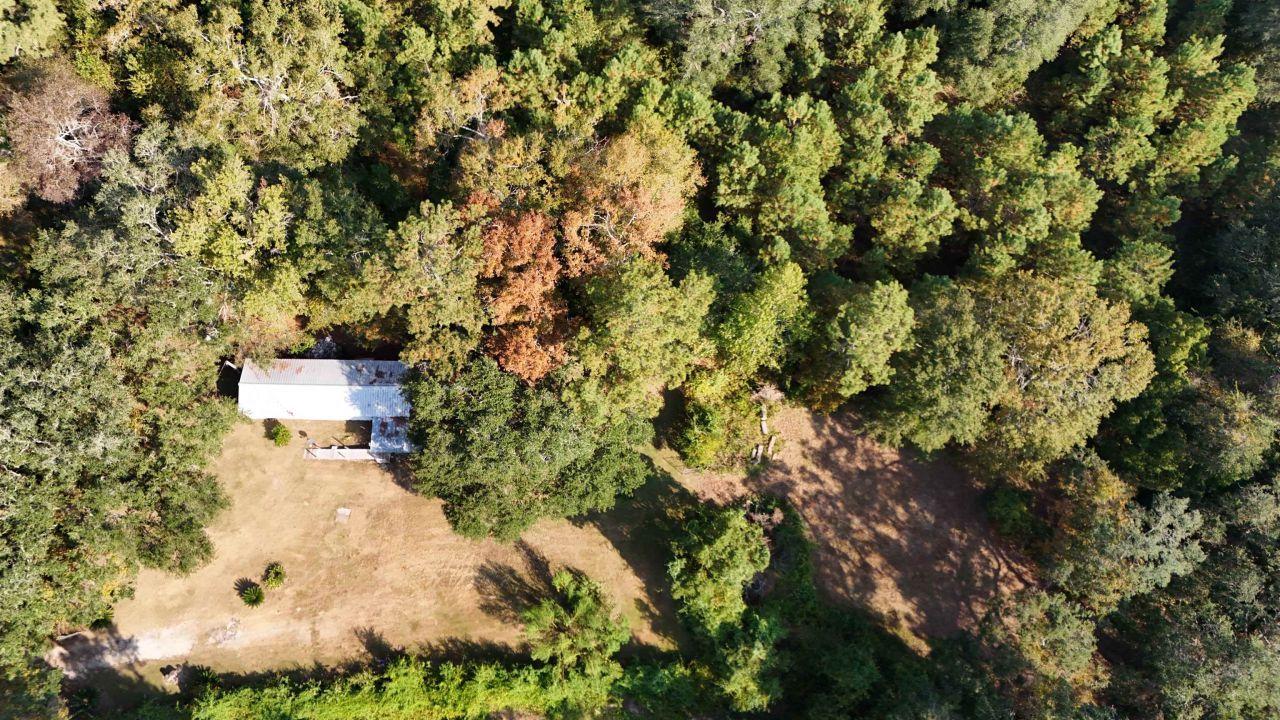 1309 Cook Rd., Lamont, FL 32336 Photo