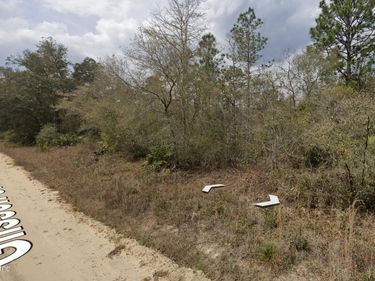 00 GLISSON Street, Interlachen, FL 32148