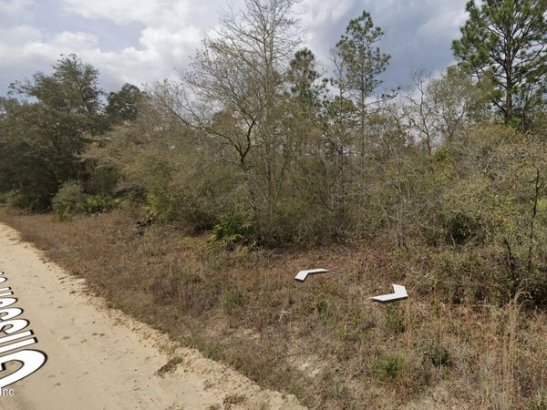 00 GLISSON Street, Interlachen, FL 32148