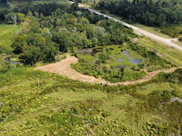 0 Highway 35, Walnut Grove, MS 39189