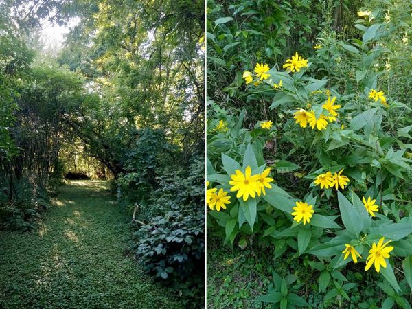 Lot 20 Gaston Circle, Cottage Grove, WI 53527