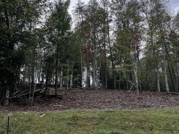 Lot 1 Old Tanner Cemetery Rd, Crossville, TN 38571