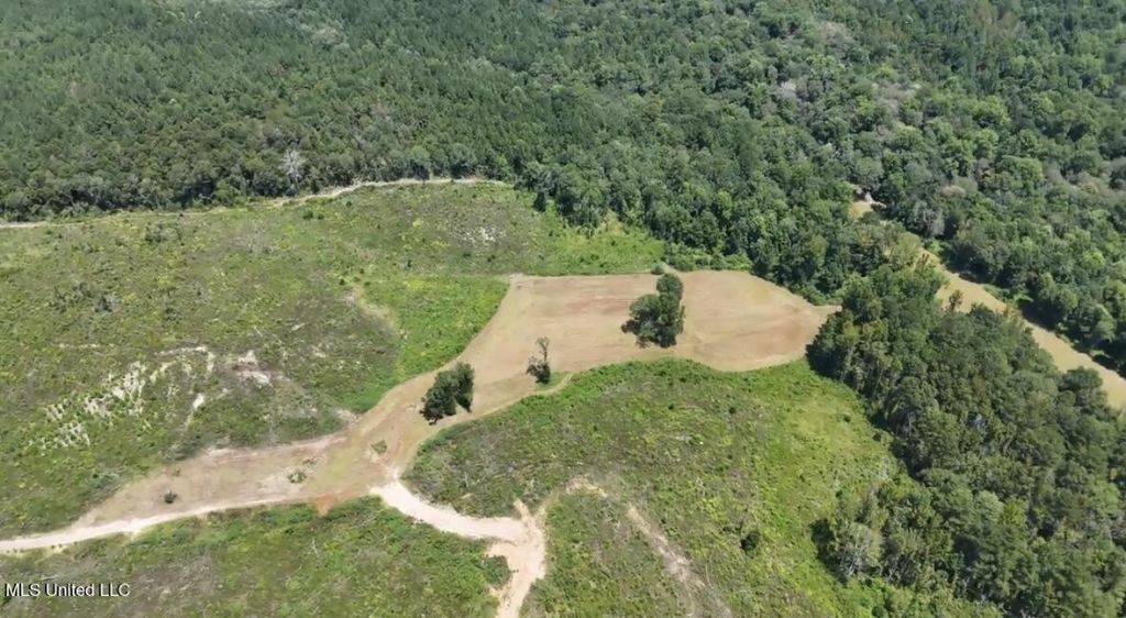 00 Ebenzer Church Road, Bassfield, MS 39421 Main Photo