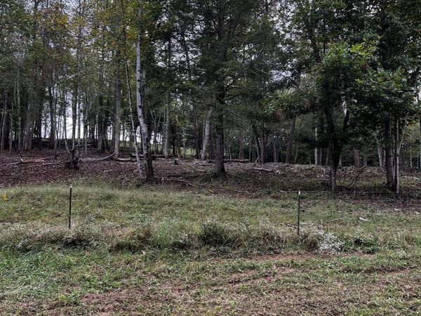 Lot 4 Old Tanner Cemetery Rd, Crossville, TN 38571