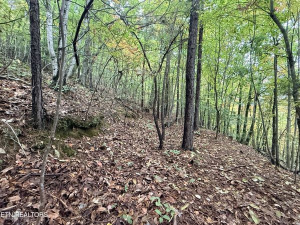 Lot 192 Clinch View Road, New Tazewell, TN 37825