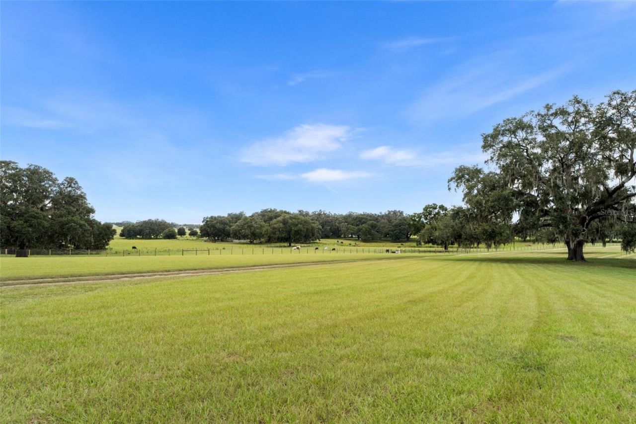 23220 NW 27th St, Morriston, FL 32668 Photo
