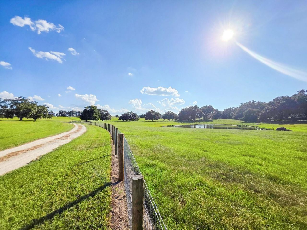 23220 NW 27th St, Morriston, FL 32668 Photo