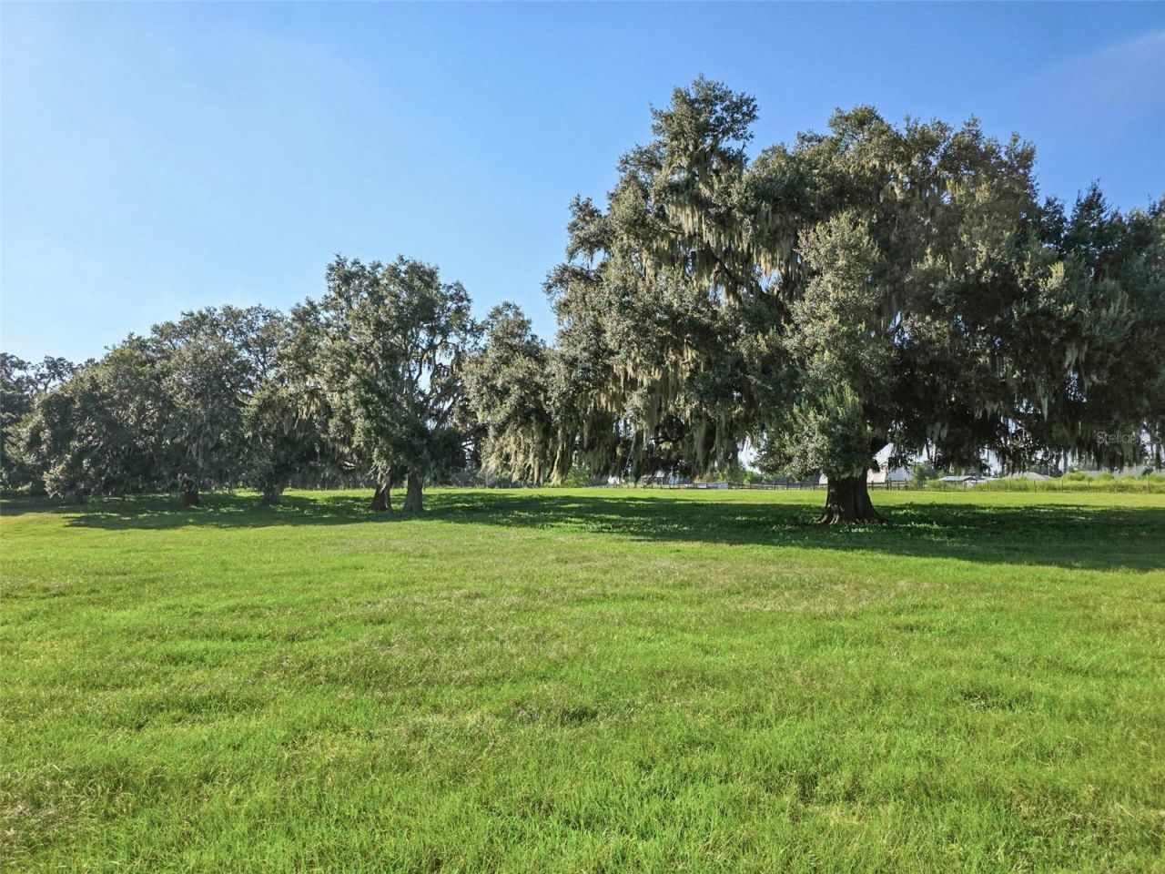 23220 NW 27th St, Morriston, FL 32668 Photo