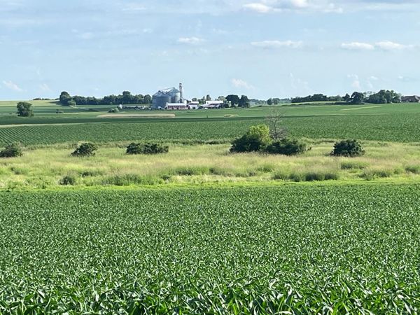 59 acres Meek Road, Arlington, WI 53911
