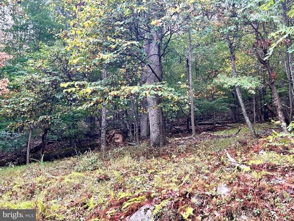 Lot 16 DEWDROP LANE, HEDGESVILLE, WV 25427