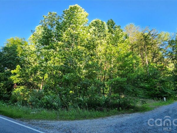 0 Buffalo Creek Road, Lake Lure, NC 28746
