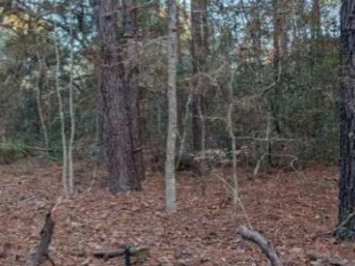 1981 Liberia Road, Wadmalaw Island, SC 29487