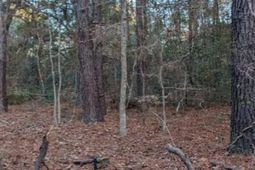 1981 Liberia Road photo 4