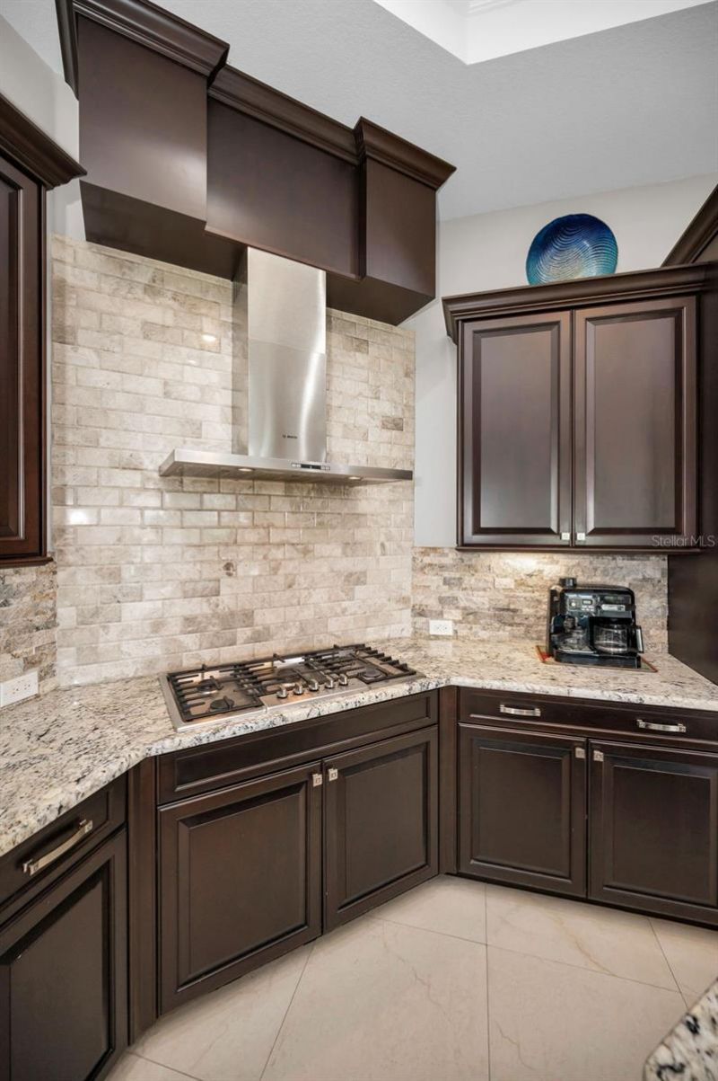 9829 Milano Drive, Trinity, FL 34655 Photo