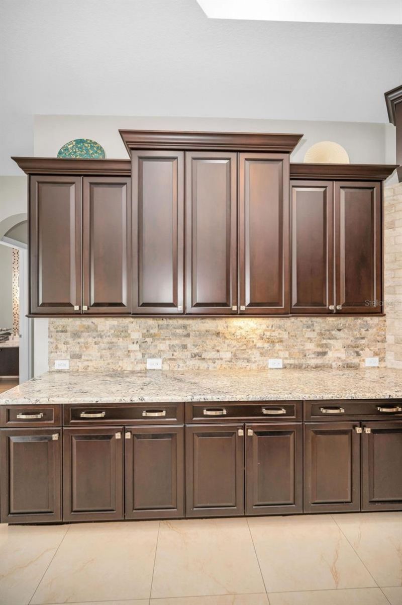 9829 Milano Drive, Trinity, FL 34655 Photo