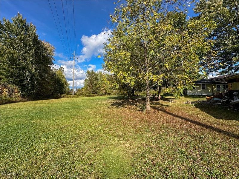 229 N Main Street, Spencer, OH 44275 Photo 8