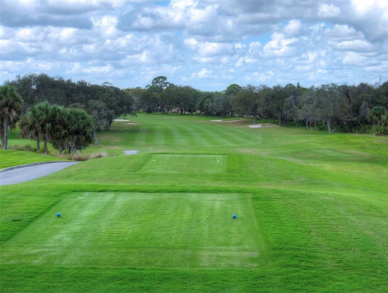 806 Silk Oak Court, New Smyrna Beach, FL 32168 Photo