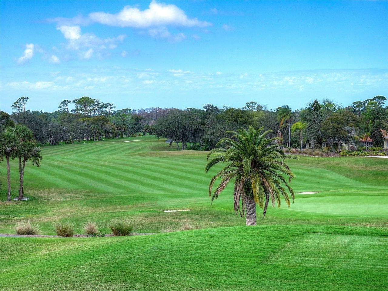 806 Silk Oak Court, New Smyrna Beach, FL 32168 Photo