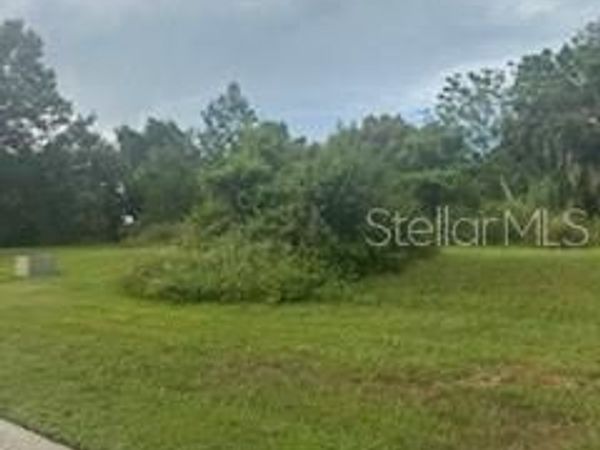 29523 CHAPEL PARK DRIVE, WESLEY CHAPEL, FL 33543